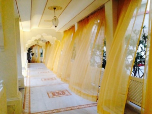 Treehouse Anuraga corridors